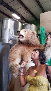 1ac08355-b531-47df-9694-003e4a8bf5a7